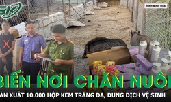 Biến trang trại chăn nuôi thành nơi sản xuất 10.000 hộp mỹ phẩm, dung dịch vệ sinh
