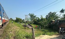Kịp thời phát hiện cây đổ chắn đường sắt, tàu khách dừng khẩn cấp
