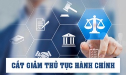 Thủ tướng yêu cầu khẩn trương cắt giảm, phân cấp thủ tục hành chính trước 20/5