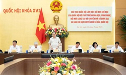 Chủ tịch Quốc hội: Chuyển đổi số có thể tạo ra nhiều sản phẩm cụ thể, phong phú