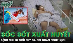 Sốc sốt xuất huyết, bệnh nhi 10 tuổi suy đa cơ quan, tổn thương gan cấp tính nguy kịch