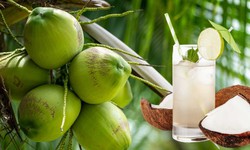 Dấu hiệu cảnh báo cơ thể đang bị mất nước mùa nóng và cách bổ sung nước hiệu quả