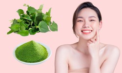 Cách dùng rau diếp cá tốt cho da mụn