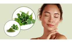 Rau má có hỗ trợ trị mụn trứng cá không?
