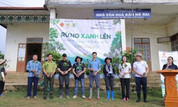 Trồng 6000 cây bản địa ở Sơn La để phục hồi rừng tự nhiên