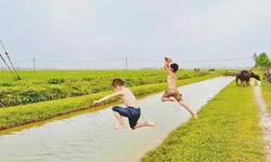 Vì sao nhiều trẻ biết bơi vẫn gặp tai nạn đuối nước thương tâm?