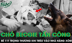 Bé 11 tuổi bị chó becgie tấn công trọng thương khi trèo vào nhà hàng xóm chơi