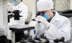 Siết chặt liêm chính khoa học, quy định rõ trách nhiệm khi sử dụng AI trong nghiên cứu