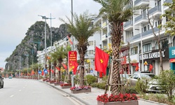 Quảng Ninh triển khai sắp xếp thôn, bản, khu phố gắn với mô hình chính quyền địa phương 2 cấp