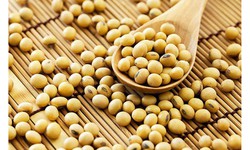 Khi nào người bệnh tuyến giáp cần thay đổi chế độ ăn?
