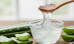 3 tác dụng của gel lô hội đối với tóc và da đầu