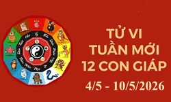 Tử vi tuần mới 12 con giáp 4/5 - 10/5: Mùi hanh thông, Mão bùng nổ tài lộc