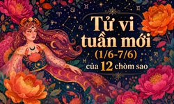 Tử vi tuần mới 12 cung hoàng đạo 1/6 - 7/6: Bạch Dương - Bảo Bình đón vận may