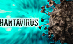 Bộ Y tế lên tiếng về virus Hanta sau chùm ca tử vong trên tàu du lịch nước ngoài