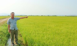 Kỳ lạ: Khu đất ở làng gốm Chăm Bàu Trúc múc lên rồi lại tự đầy