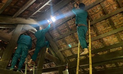 Dông lốc, mưa đá tàn phá Nghệ An: Hàng nghìn héc-ta lúa đổ rạp, gần 1.000 nhà hư hỏng