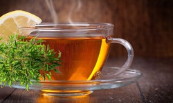Uống lá đinh lăng hàng ngày có tốt không?