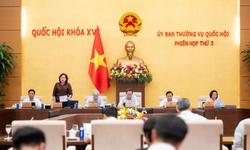 Dự kiến giám sát 12 địa phương về sử dụng trụ sở làm việc sau sáp nhập