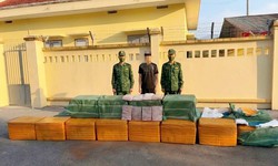 Ngụy trang gần nửa tấn tràng lợn đông lạnh trong bao dứa chuẩn bị 'vượt biên' vào đất liền