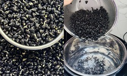 Nước đậu đen và sức khỏe thận dưới góc nhìn khoa học