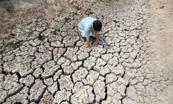 Kịch bản khô hạn khốc liệt 10 năm lặp lại do El Nino sẽ thế nào?