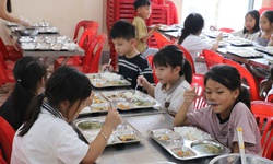 Đừng để mọi đứa trẻ ăn chung một khay cơm bán trú