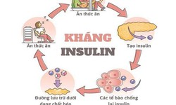Omega-7 có giúp cải thiện đề kháng insulin và sức khỏe chuyển hóa?