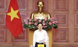 Phó Thủ tướng yêu cầu mở đợt cao điểm mới chống xâm phạm sở hữu trí tuệ
