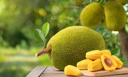 Quả mít: Thứ quả dân dã ăn được từ múi đến hạt