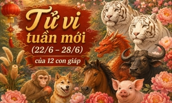 Tử vi tuần mới 12 con giáp 22/6 - 28/6: Dậu bình ổn, Hợi công việc hanh thông