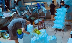 Đá viên giải nhiệt mùa hè: Sạch đến đâu?