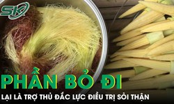 Phần thường bị bỏ đi của bắp ngô lại là 'trợ thủ đắc lực' hỗ trợ điều trị sỏi thận