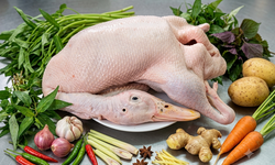 5 lý do để ăn thịt vịt ngay trong mùa hè này