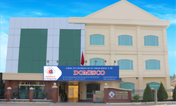 Xử phạt Công ty Domesco do bán thuốc cho cơ sở không đủ điều kiện