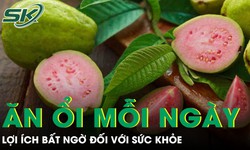 Tác dụng không ngờ của việc ăn 1-2 quả ổi mỗi ngày