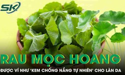Loại rau mọc hoang đầy đường được ví như 'kem chống nắng tự nhiên’ cho làn da