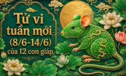 Tử vi tuần mới 12 con giáp 8/6 - 14/6: Thìn cải thiện, Hợi biến động đan xen