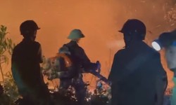 Cháy rừng bùng phát trong đêm, huy động hàng trăm người chữa cháy