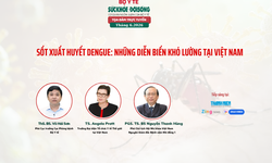 Truyền hình trực tuyến: Sốt xuất huyết Dengue gia tăng với nhiều diễn biến khó lường tại Việt Nam