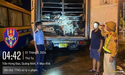 Xe tải đông lạnh chở gần 9 tấn da trâu muối không rõ nguồn gốc