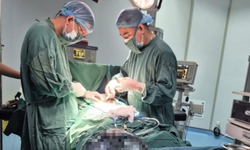 Bụng to dần nhưng không đi khám, người phụ nữ mang khối u buồng trứng 'khủng'