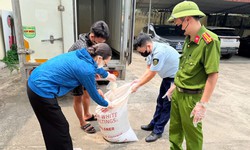 Tài xế chở gần nửa tấn lòng lợn bốc mùi hôi thối đi tiêu thụ
