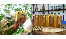 Mẹo phân biệt mật ong thật và giả đơn giản ngay tại nhà