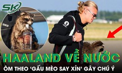 Vì sao Haaland ôm "gấu mèo say xỉn" về nước sau World Cup?