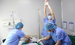 Bệnh viện Đa khoa tỉnh Phú Thọ ghép tế bào gốc thành công sau chuyển giao từ Viện Huyết học - Truyền máu Trung ương