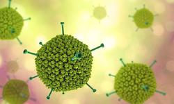 Biểu hiện khi trẻ mắc Adenovirus: Cha mẹ cần nhận biết sớm để phòng biến chứng