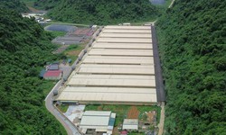 Thêm hai nạn nhân tử vong trong vụ tai nạn trang trại lợn Dabaco Thanh Hóa