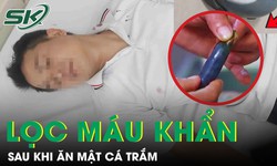 Người đàn ông 68 tuổi suy đa tạng phải lọc máu khẩn cấp sau khi ăn mật cá trắm