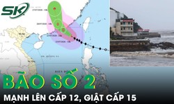 Bão số 2 đạt cường độ cực đại cấp 12, giật cấp 15, đang di chuyển rất nhanh