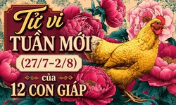 Tử vi tuần mới 12 con giáp 27/7 - 2/8: Dậu thăng trầm, Tý công việc nổi bật